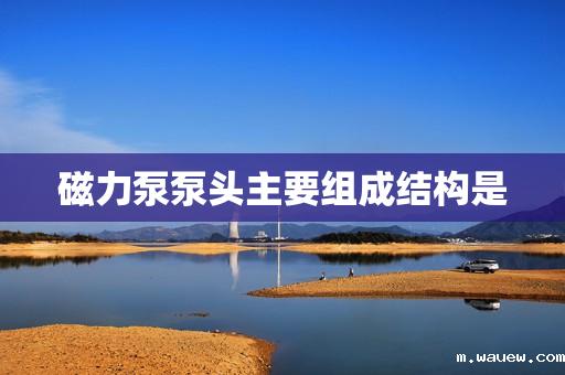 磁力泵泵头主要组成结构是 磁力泵泵头主要组成结构是