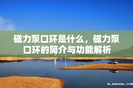 磁力泵口环是什么,磁力泵口环的简介与功能解析 磁力泵口环是什么,磁力泵口环的简介与功能解析