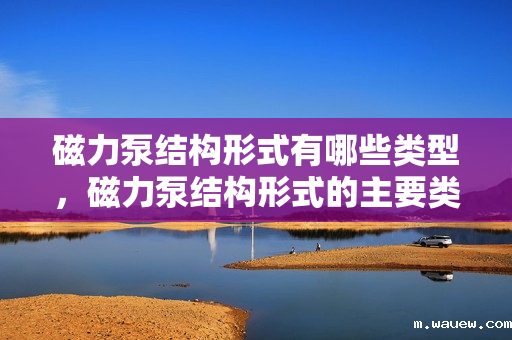 磁力泵结构形式有哪些类型,磁力泵结构形式的主要类型概览 磁力泵结构形式有哪些类型,磁力泵结构形式的主要类型概览