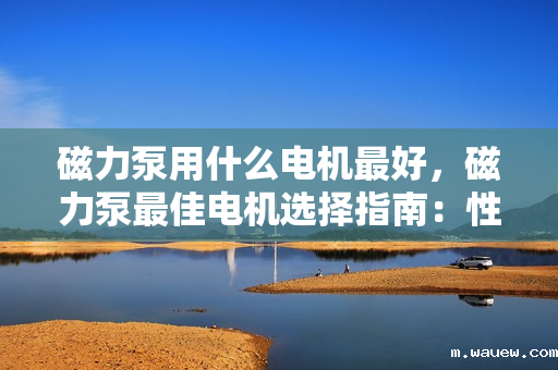 磁力泵用什么电机最好,磁力泵最佳电机选择指南:性能、效率与适用性的综合考量 磁力泵用什么电机最好,磁力泵最佳电机选择指南:性能、效率与适用性的综合考量