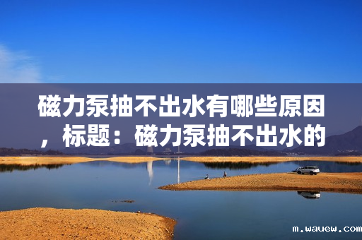 磁力泵抽不出水有哪些原因,标题:磁力泵抽不出水的原因分析 磁力泵抽不出水有哪些原因,标题:磁力泵抽不出水的原因分析