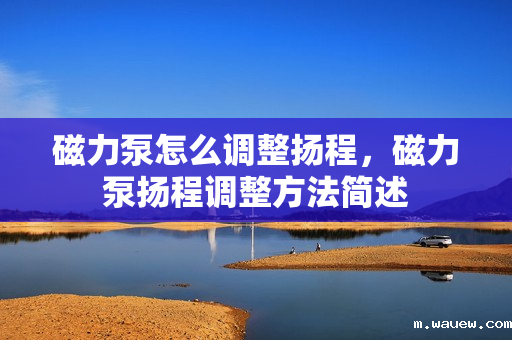 磁力泵怎么调整扬程,磁力泵扬程调整方法简述 磁力泵怎么调整扬程,磁力泵扬程调整方法简述