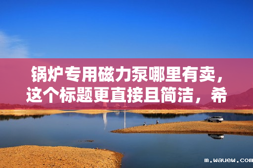 锅炉专用磁力泵哪里有卖,这个标题更直接且简洁,希望符合您的要求。 锅炉专用磁力泵哪里有卖,这个标题更直接且简洁,希望符合您的要求。