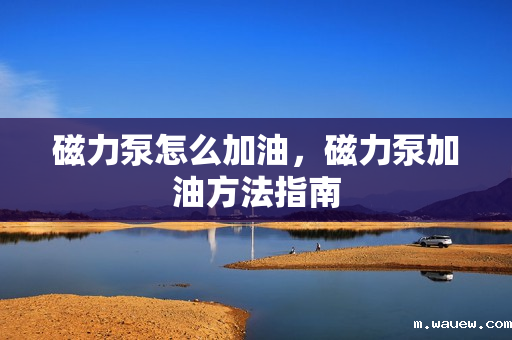 磁力泵怎么加油,磁力泵加油方法指南 磁力泵怎么加油,磁力泵加油方法指南
