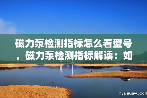 磁力泵检测指标怎么看型号,磁力泵检测指标解读:如何根据型号判断性能 磁力泵检测指标怎么看型号,磁力泵检测指标解读:如何根据型号判断性能