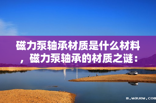 磁力泵轴承材质是什么材料,磁力泵轴承的材质之谜:揭秘其制造材料 磁力泵轴承材质是什么材料,磁力泵轴承的材质之谜:揭秘其制造材料