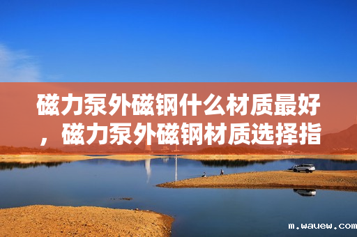 磁力泵外磁钢什么材质最好,磁力泵外磁钢材质选择指南:哪种材质最优? 磁力泵外磁钢什么材质最好,磁力泵外磁钢材质选择指南:哪种材质最优?