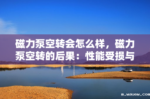 磁力泵空转会怎么样,磁力泵空转的后果:性能受损与潜在风险解析 磁力泵空转会怎么样,磁力泵空转的后果:性能受损与潜在风险解析