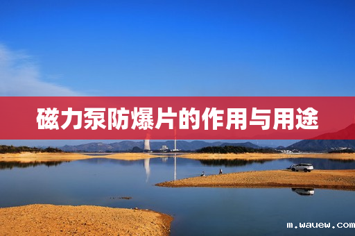 磁力泵防爆片的作用与用途 磁力泵防爆片的作用与用途