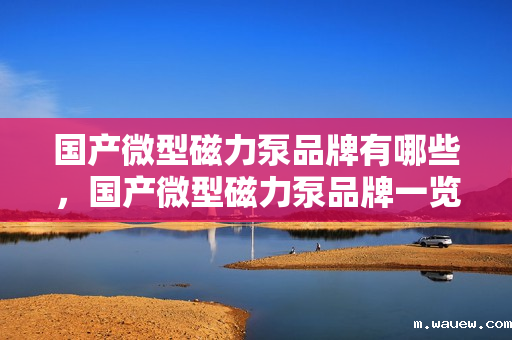 国产微型磁力泵品牌有哪些,国产微型磁力泵品牌一览:市场主流选择全解析 国产微型磁力泵品牌有哪些,国产微型磁力泵品牌一览:市场主流选择全解析