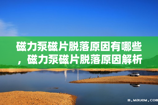 磁力泵磁片脱落原因有哪些,磁力泵磁片脱落原因解析 磁力泵磁片脱落原因有哪些,磁力泵磁片脱落原因解析