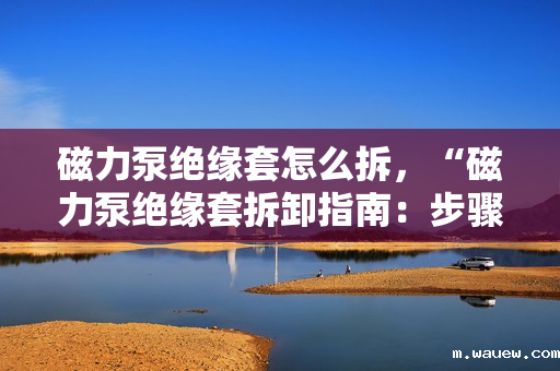 磁力泵绝缘套怎么拆,“磁力泵绝缘套拆卸指南:步骤与注意事项一览” 磁力泵绝缘套怎么拆,“磁力泵绝缘套拆卸指南:步骤与注意事项一览”