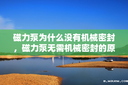 磁力泵为什么没有机械密封,磁力泵无需机械密封的原因揭秘:独特设计实现无泄漏运行 磁力泵为什么没有机械密封,磁力泵无需机械密封的原因揭秘:独特设计实现无泄漏运行