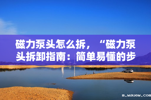 磁力泵头怎么拆,“磁力泵头拆卸指南:简单易懂的步骤教程” 磁力泵头怎么拆,“磁力泵头拆卸指南:简单易懂的步骤教程”