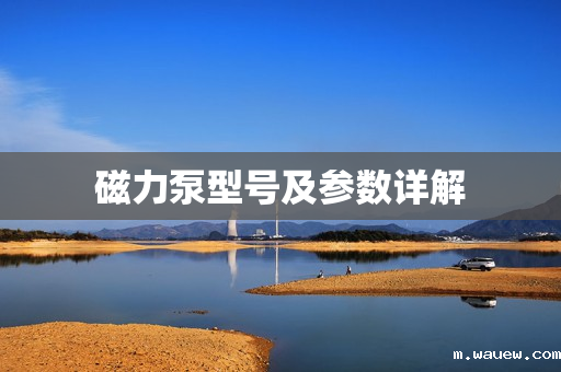 磁力泵型号及参数详解 磁力泵型号及参数详解