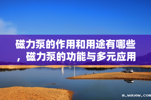 磁力泵的作用和用途有哪些,磁力泵的功能与多元应用解析 磁力泵的作用和用途有哪些,磁力泵的功能与多元应用解析