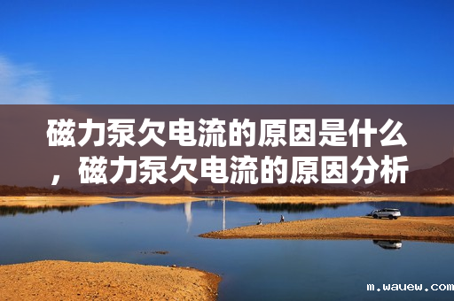 磁力泵欠电流的原因是什么,磁力泵欠电流的原因分析 磁力泵欠电流的原因是什么,磁力泵欠电流的原因分析