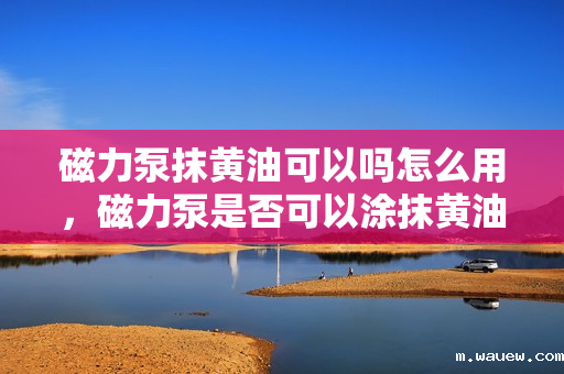 磁力泵抹黄油可以吗怎么用,磁力泵是否可以涂抹黄油及其正确使用方法 磁力泵抹黄油可以吗怎么用,磁力泵是否可以涂抹黄油及其正确使用方法