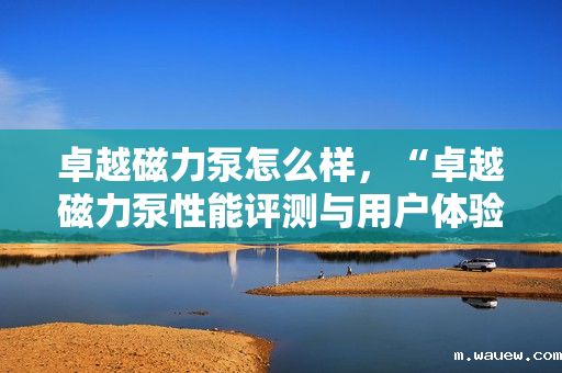 卓越磁力泵怎么样,“卓越磁力泵性能评测与用户体验” 卓越磁力泵怎么样,“卓越磁力泵性能评测与用户体验”