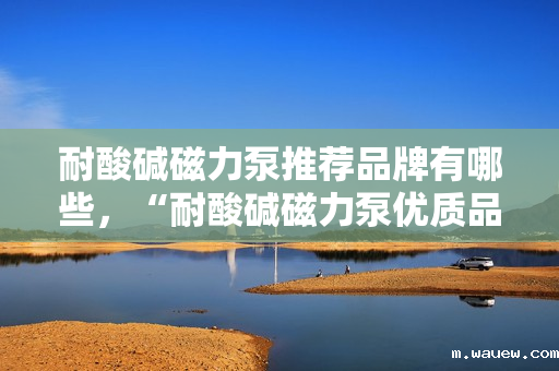 耐酸碱磁力泵推荐品牌有哪些,“耐酸碱磁力泵优质品牌推荐榜” 耐酸碱磁力泵推荐品牌有哪些,“耐酸碱磁力泵优质品牌推荐榜”