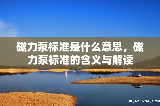 磁力泵标准是什么意思,磁力泵标准的含义与解读 磁力泵标准是什么意思,磁力泵标准的含义与解读