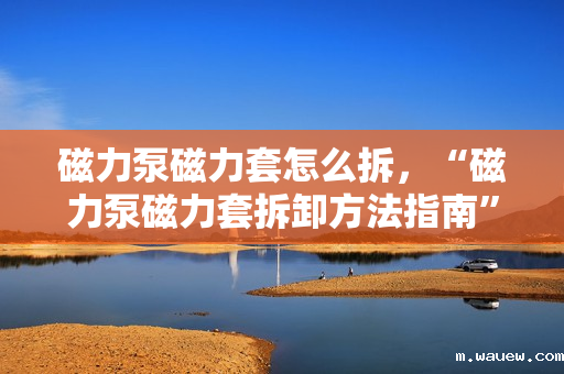 磁力泵磁力套怎么拆,“磁力泵磁力套拆卸方法指南” 磁力泵磁力套怎么拆,“磁力泵磁力套拆卸方法指南”