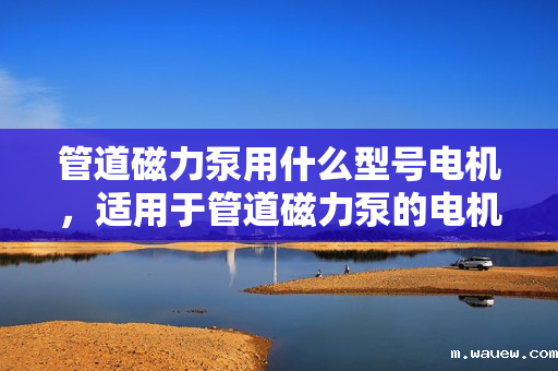 管道磁力泵用什么型号电机,适用于管道磁力泵的电机型号选择指南 管道磁力泵用什么型号电机,适用于管道磁力泵的电机型号选择指南