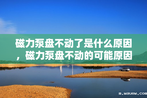 磁力泵盘不动了是什么原因,磁力泵盘不动的可能原因及解决方案 磁力泵盘不动了是什么原因,磁力泵盘不动的可能原因及解决方案