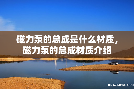 磁力泵的总成是什么材质,磁力泵的总成材质介绍 磁力泵的总成是什么材质,磁力泵的总成材质介绍