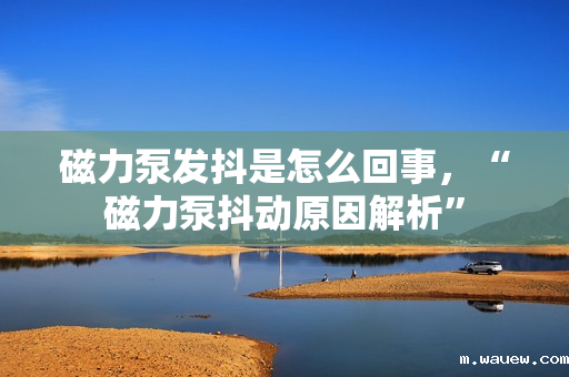 磁力泵发抖是怎么回事,“磁力泵抖动原因解析” 磁力泵发抖是怎么回事,“磁力泵抖动原因解析”