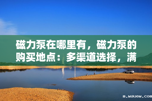 磁力泵在哪里有,磁力泵的购买地点:多渠道选择,满足您的不同需求 磁力泵在哪里有,磁力泵的购买地点:多渠道选择,满足您的不同需求