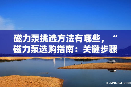 磁力泵挑选方法有哪些,“磁力泵选购指南:关键步骤与技巧一网打尽” 磁力泵挑选方法有哪些,“磁力泵选购指南:关键步骤与技巧一网打尽”