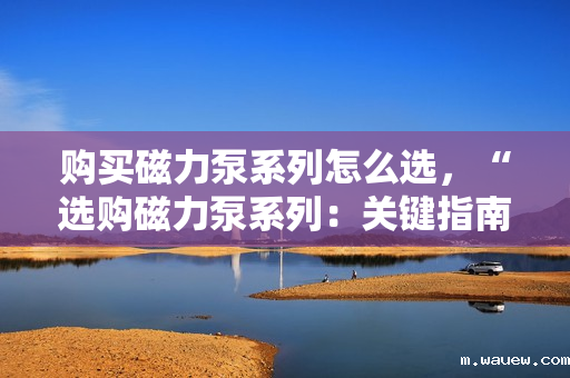 购买磁力泵系列怎么选,“选购磁力泵系列:关键指南与实用建议” 购买磁力泵系列怎么选,“选购磁力泵系列:关键指南与实用建议”