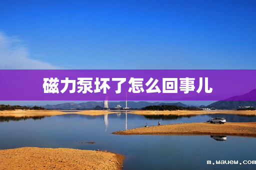 磁力泵坏了怎么回事儿 磁力泵坏了怎么回事儿