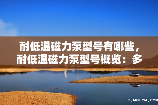 耐低温磁力泵型号有哪些,耐低温磁力泵型号概览:多种选择满足低温环境需求 耐低温磁力泵型号有哪些,耐低温磁力泵型号概览:多种选择满足低温环境需求