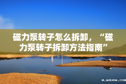 磁力泵转子怎么拆卸,“磁力泵转子拆卸方法指南” 磁力泵转子怎么拆卸,“磁力泵转子拆卸方法指南”