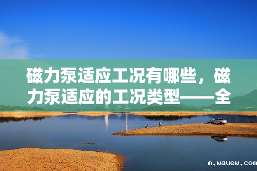 磁力泵适应工况有哪些,磁力泵适应的工况类型——全面解析其应用场景与优势 磁力泵适应工况有哪些,磁力泵适应的工况类型——全面解析其应用场景与优势