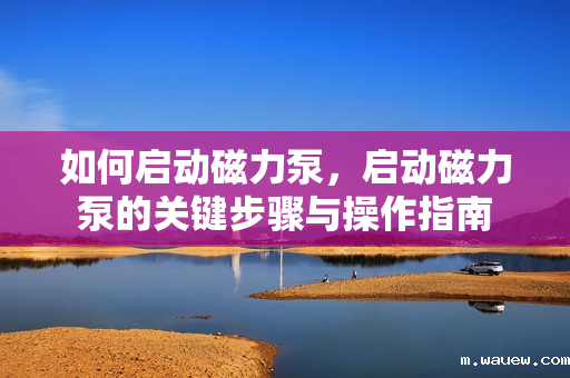 如何启动磁力泵,启动磁力泵的关键步骤与操作指南 如何启动磁力泵,启动磁力泵的关键步骤与操作指南