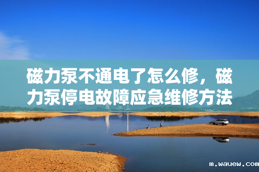 磁力泵不通电了怎么修,磁力泵停电故障应急维修方法 磁力泵不通电了怎么修,磁力泵停电故障应急维修方法