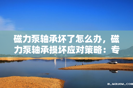 磁力泵轴承坏了怎么办,磁力泵轴承损坏应对策略:专业维修与更换指南 磁力泵轴承坏了怎么办,磁力泵轴承损坏应对策略:专业维修与更换指南