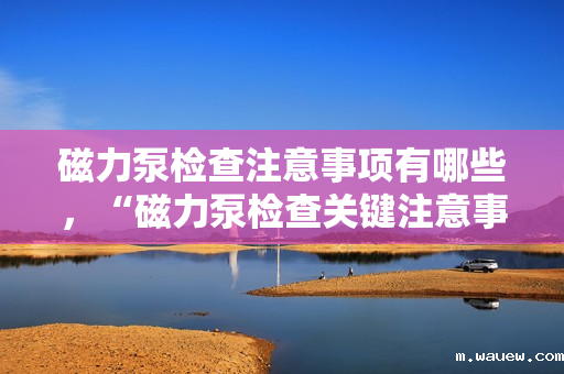 磁力泵检查注意事项有哪些,“磁力泵检查关键注意事项一览” 磁力泵检查注意事项有哪些,“磁力泵检查关键注意事项一览”