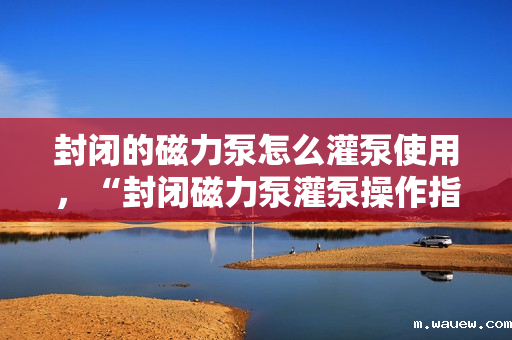 封闭的磁力泵怎么灌泵使用,“封闭磁力泵灌泵操作指南:安全、高效的使用技巧” 封闭的磁力泵怎么灌泵使用,“封闭磁力泵灌泵操作指南:安全、高效的使用技巧”