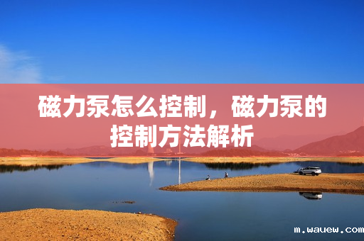 磁力泵怎么控制,磁力泵的控制方法解析 磁力泵怎么控制,磁力泵的控制方法解析