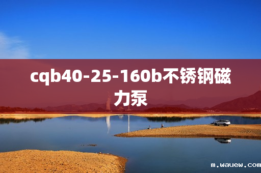 cqb40-25-160b不锈钢磁力泵 cqb40-25-160b不锈钢磁力泵