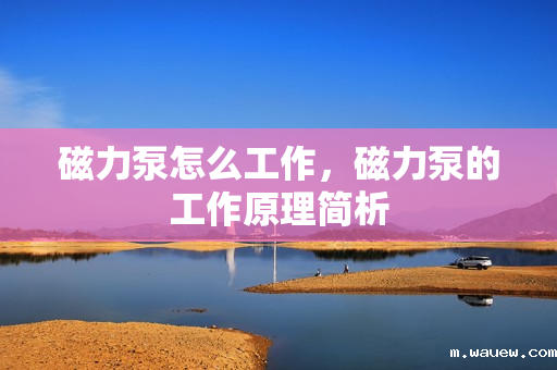 磁力泵怎么工作,磁力泵的工作原理简析 磁力泵怎么工作,磁力泵的工作原理简析