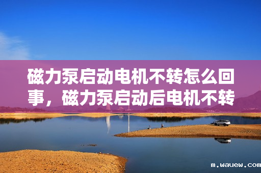 磁力泵启动电机不转怎么回事,磁力泵启动后电机不转的原因及解决方法 磁力泵启动电机不转怎么回事,磁力泵启动后电机不转的原因及解决方法