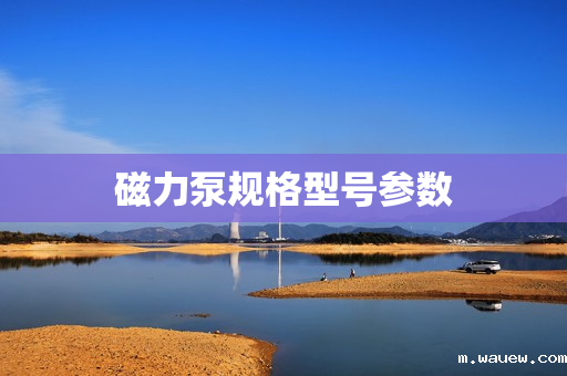 磁力泵规格型号参数 磁力泵规格型号参数