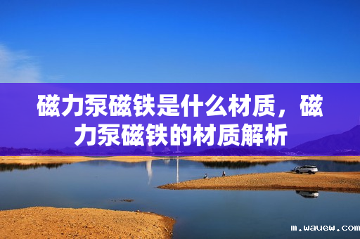 磁力泵磁铁是什么材质,磁力泵磁铁的材质解析 磁力泵磁铁是什么材质,磁力泵磁铁的材质解析