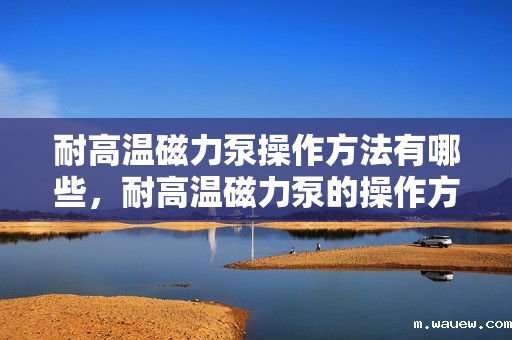 耐高温磁力泵操作方法有哪些,耐高温磁力泵的操作方法与技巧简析 耐高温磁力泵操作方法有哪些,耐高温磁力泵的操作方法与技巧简析