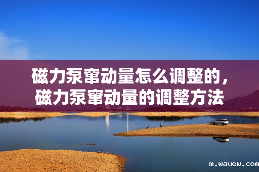 磁力泵窜动量怎么调整的,磁力泵窜动量的调整方法 磁力泵窜动量怎么调整的,磁力泵窜动量的调整方法